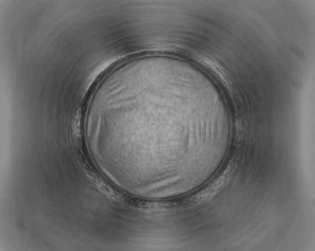 X0000112920875200909141310