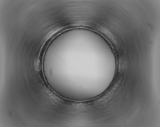 X0000112920876200909141310
