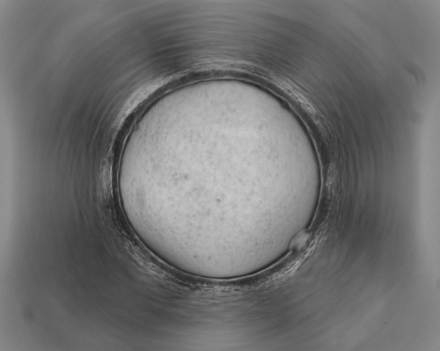 X0000112920877200909141310