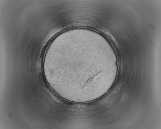 X0000112920878200909141310