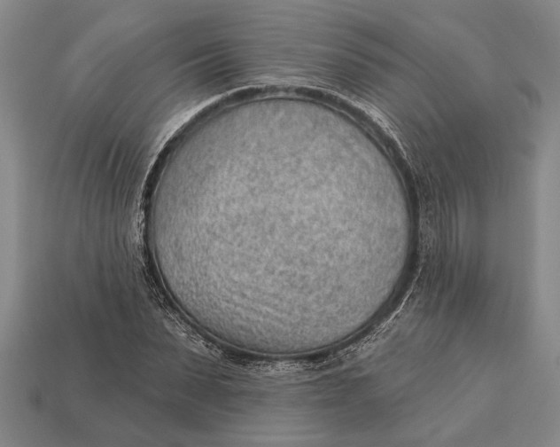 X0000112920879200909141310