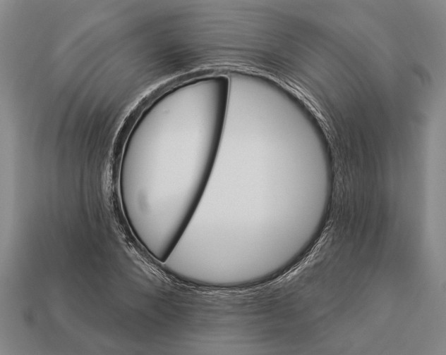 X0000112920880200909141310