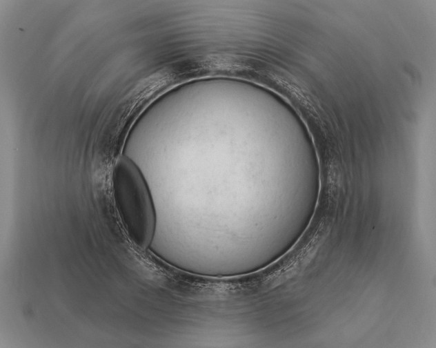 X0000112920881200909141310