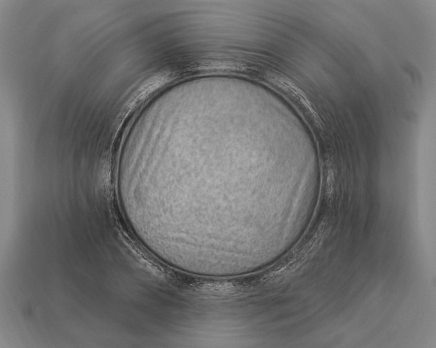 X0000112920882200909141310