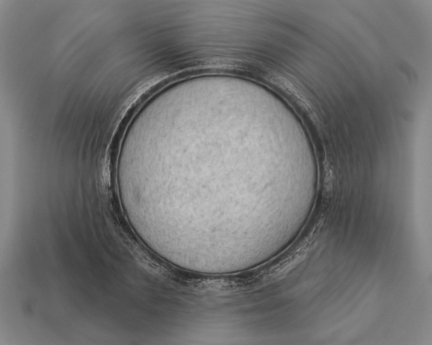 X0000112920883200909141310