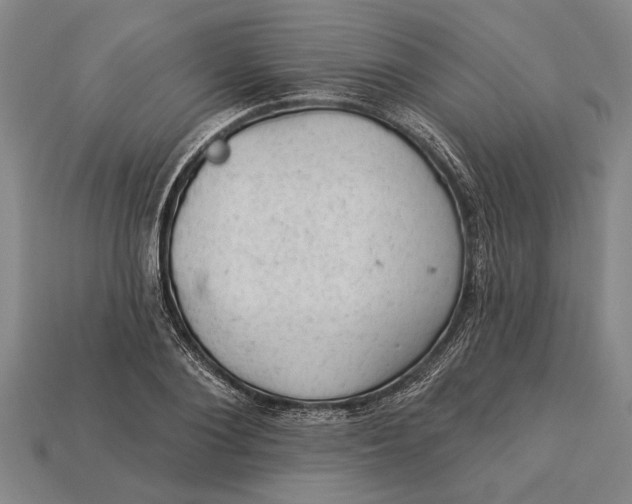 X0000112920884200909141310