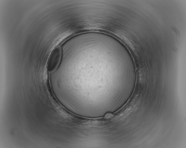 X0000112920885200909141310