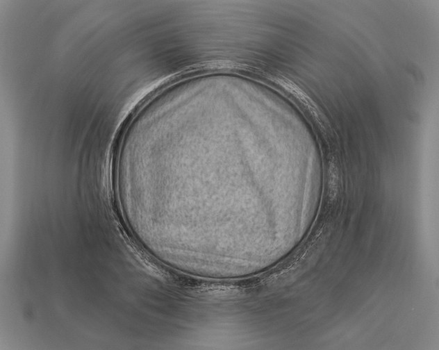 X0000112920886200909141310