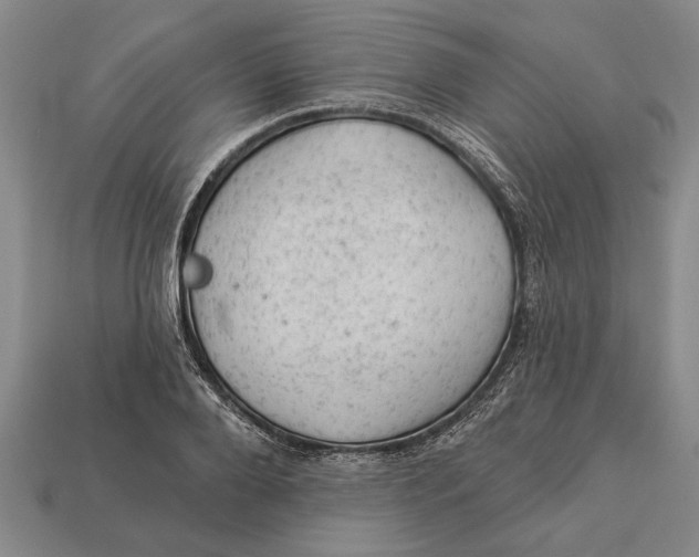X0000112920888200909141310