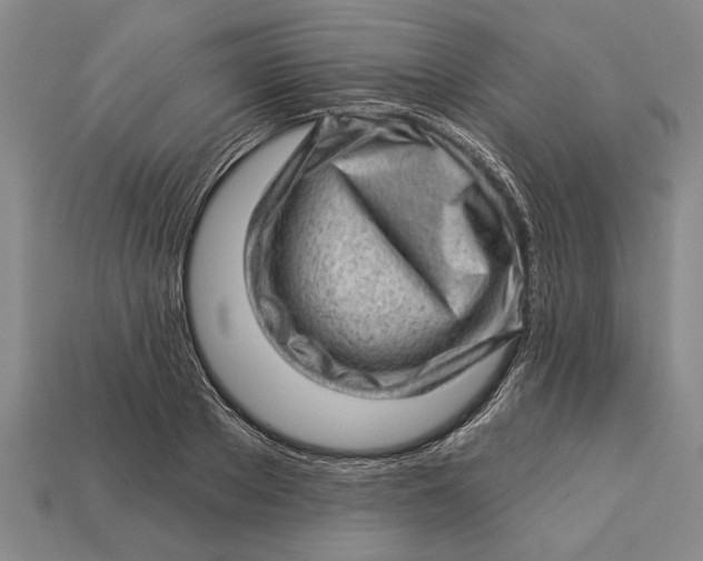 X0000112920889200909141310