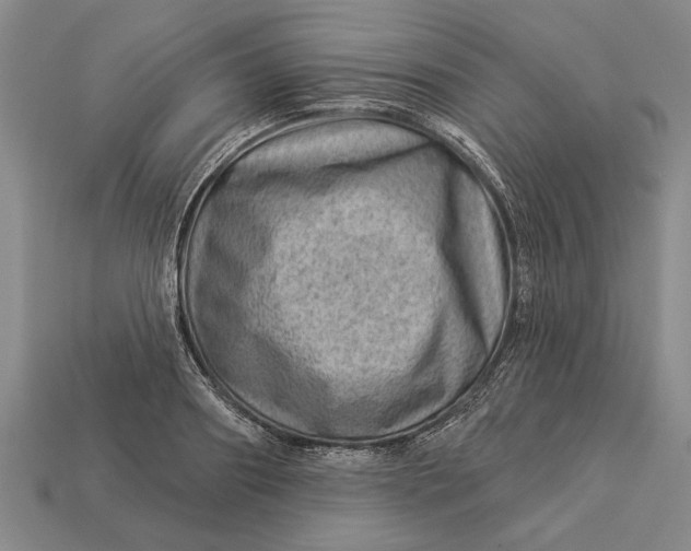 X0000112920890200909141310