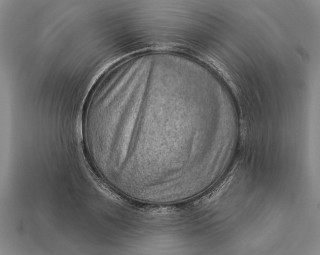X0000112920891200909141310