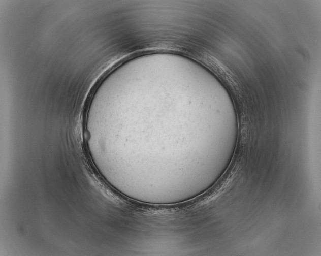 X0000112920892200909141310