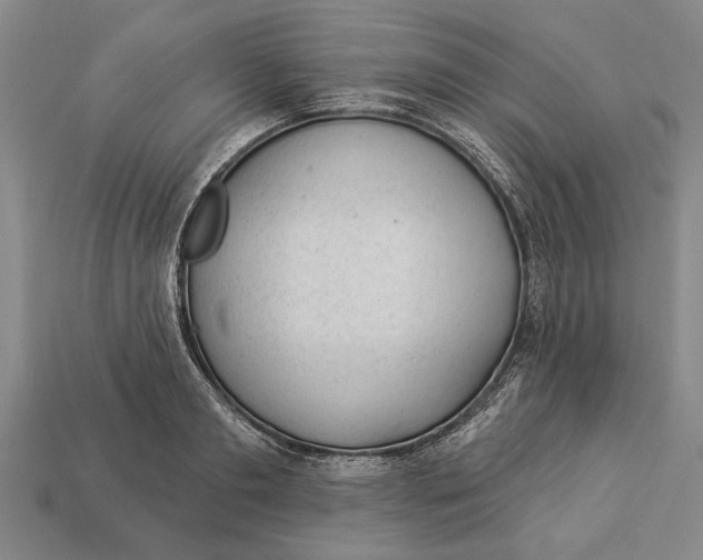 X0000112920893200909141310