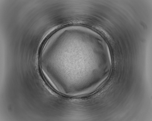 X0000112920894200909141310