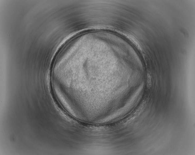 X0000112920895200909141310