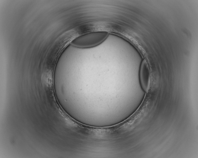 X0000112920897200909141310
