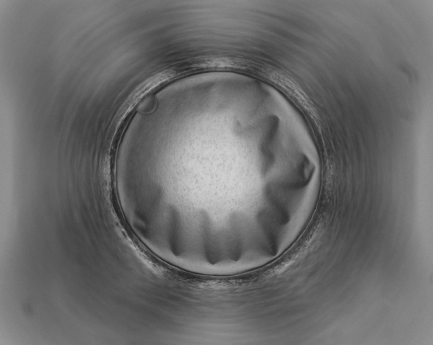 X0000112920898200909141310