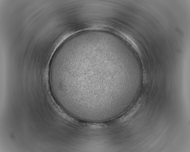 X0000112920899200909141310
