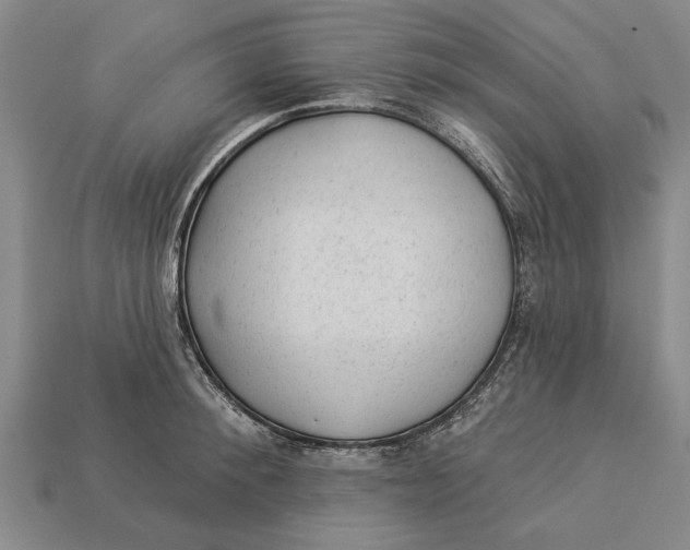 X0000112920900200909141310