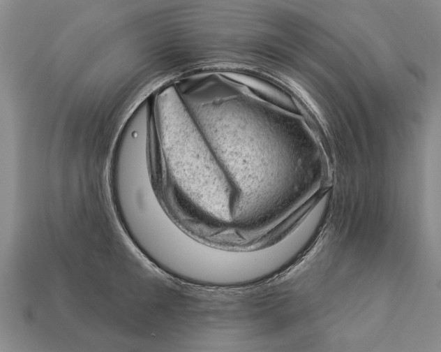 X0000112920901200909141310