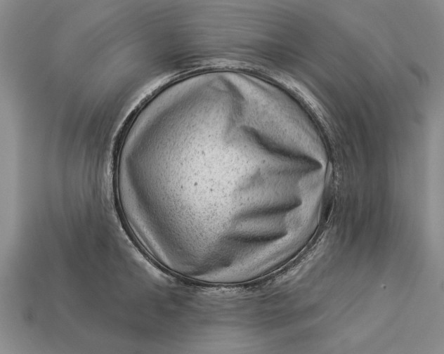X0000112920902200909141310