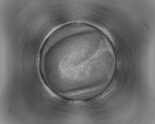 X0000112920903200909141310