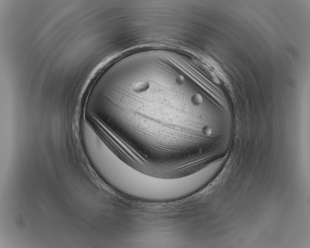 X0000112920904200909141310