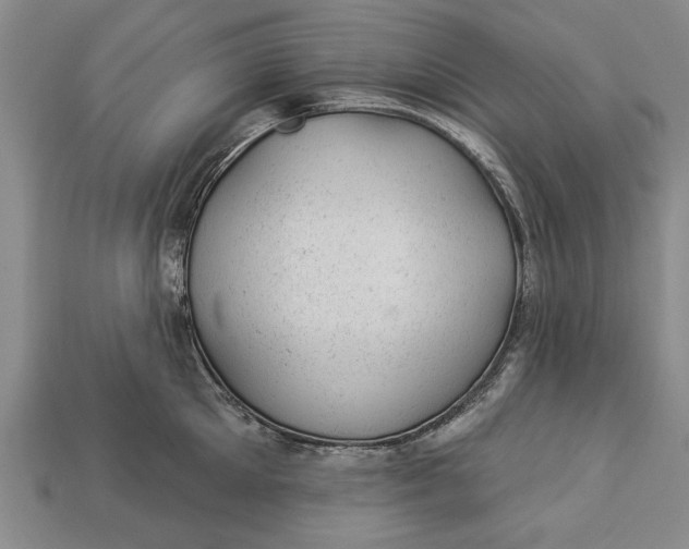 X0000112920905200909141310