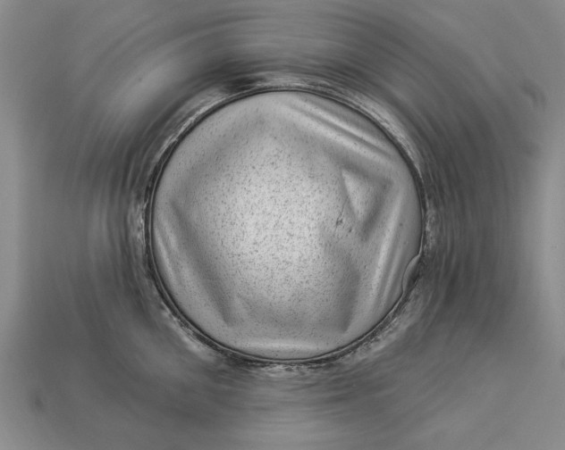 X0000112920906200909141310
