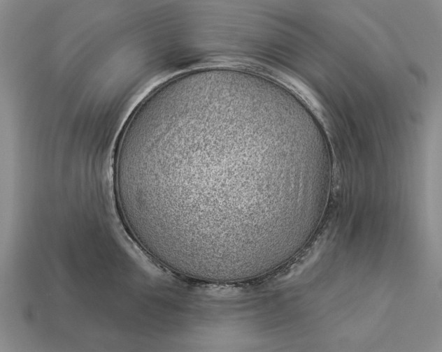 X0000112920907200909141310