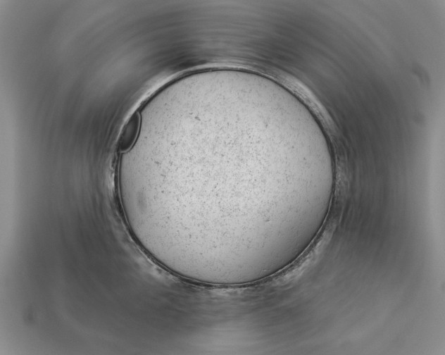 X0000112920908200909141310