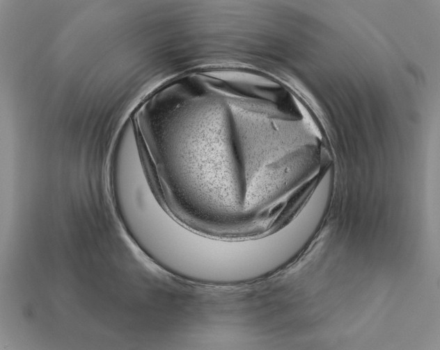 X0000112920909200909141310