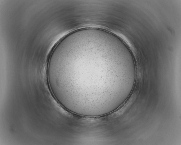 X0000112920910200909141310