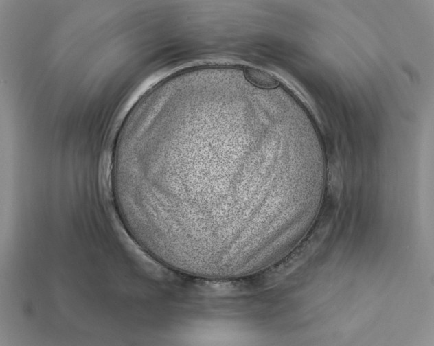 X0000112920911200909141310