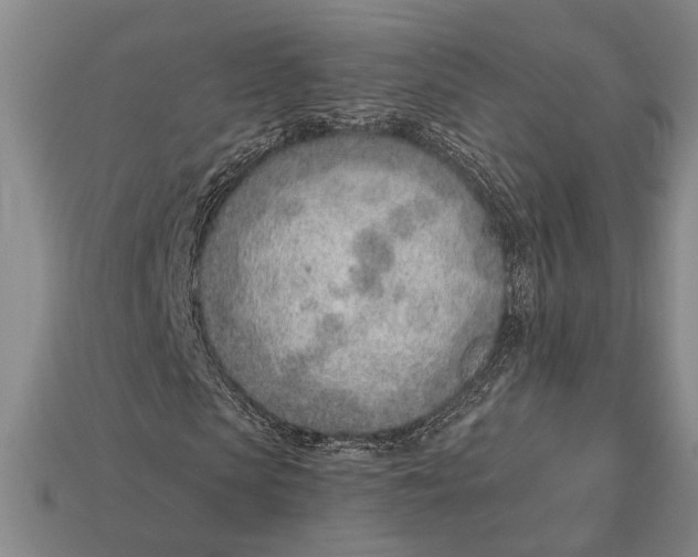 X0000112920913200909141309