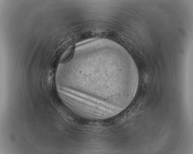 X0000112920914200909141309