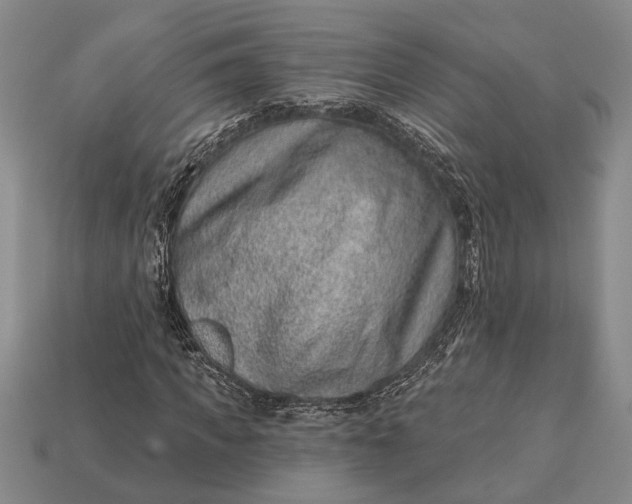 X0000112920917200909141309