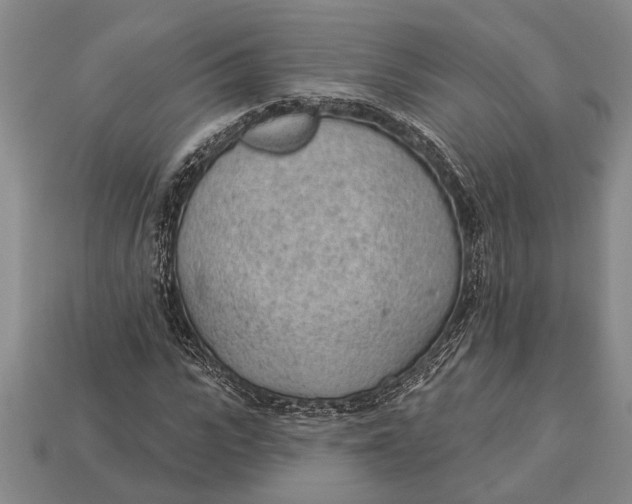 X0000112920919200909141309