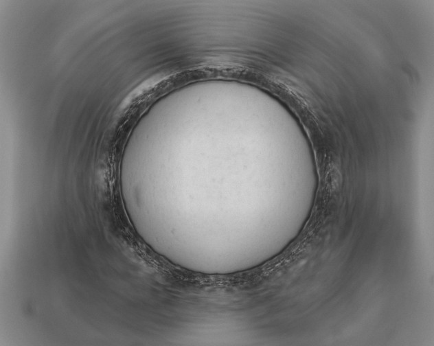 X0000112920920200909141309