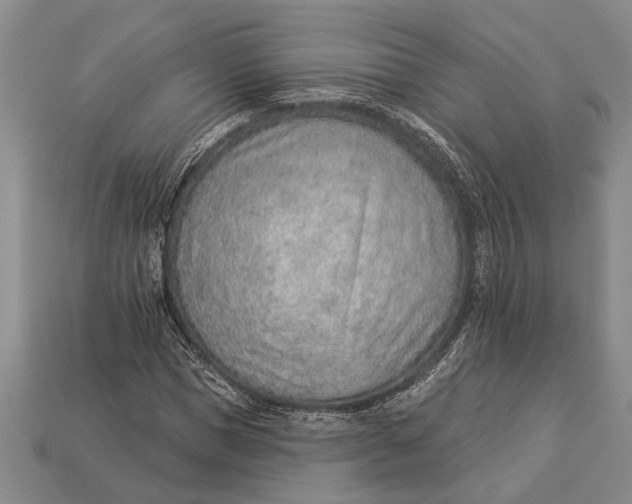 X0000112920921200909141309