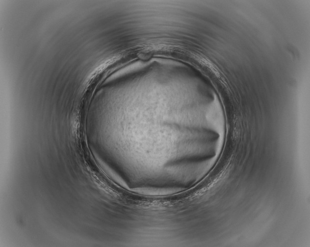 X0000112920922200909141309