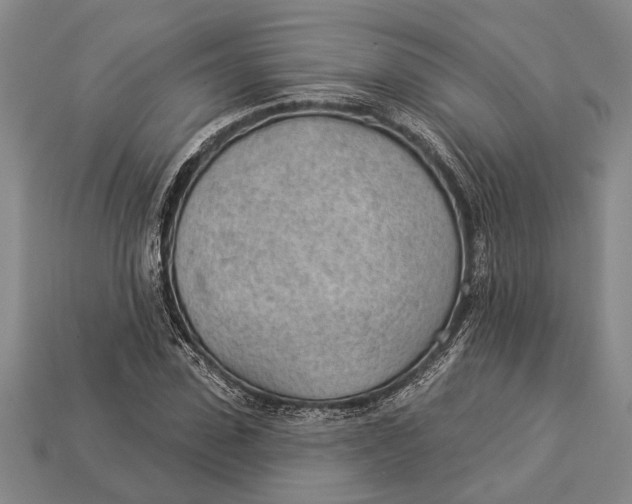X0000112920923200909141309