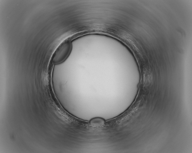 X0000112920924200909141309