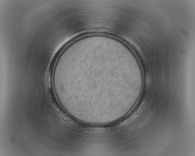 X0000112920925200909141309