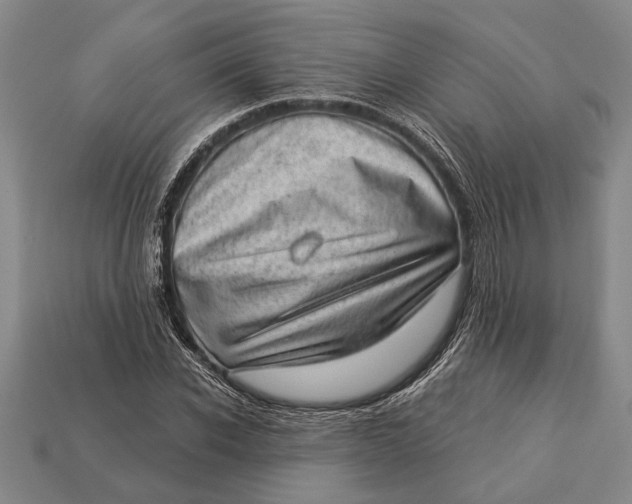 X0000112920926200909141309