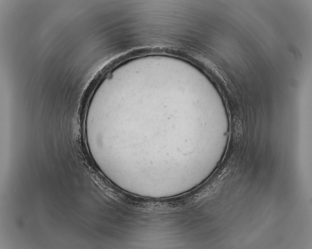 X0000112920927200909141310