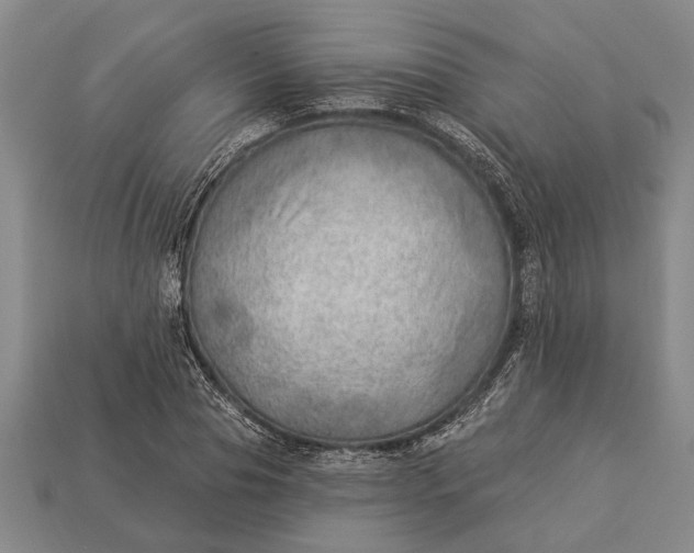 X0000112920929200909141310
