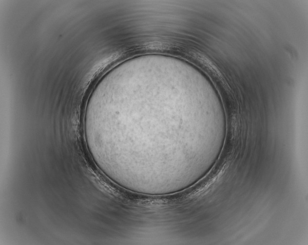 X0000112920930200909141310