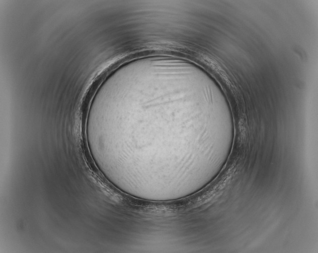 X0000112920931200909141310